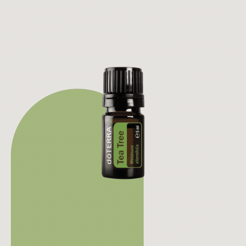 doTERRA Teebaumöl 5 ml Sale