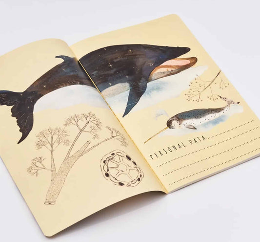 Notizbuch 'Wale' A5