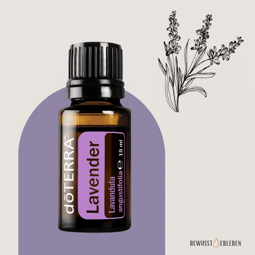 Lavendel